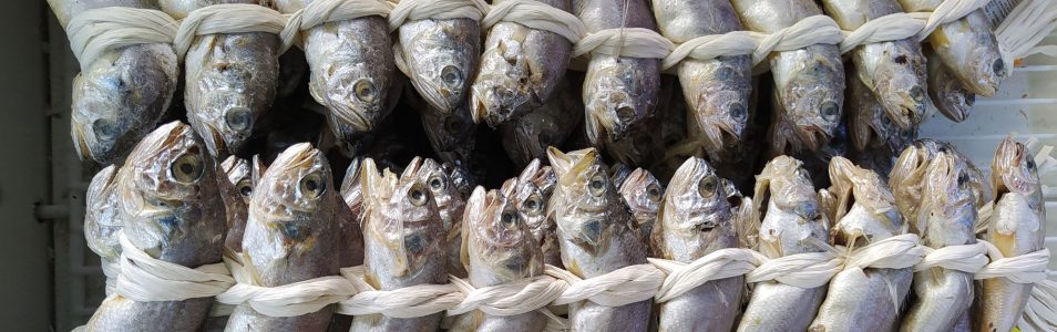 KOREA POŁUDNIOWA Busan i niesamowity targ rybny